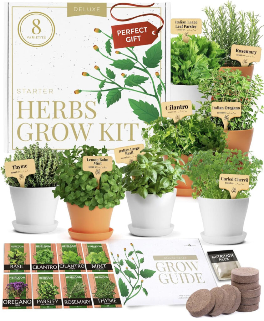 Holiday Gift Guide herb growing kit